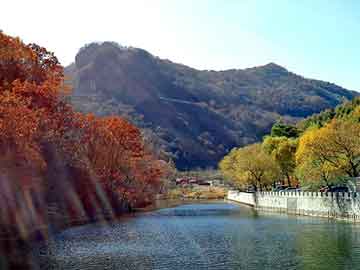 管家婆免费正版资起大全，金属狂神